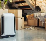 Cave dehumidifier: simple solutions to reduce humidity
