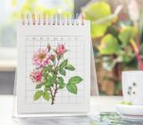 When to prune a rosecut: the ideal and technical periods to be adopted