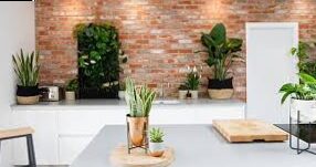 Internal decoration: the trend of the vegetable wall